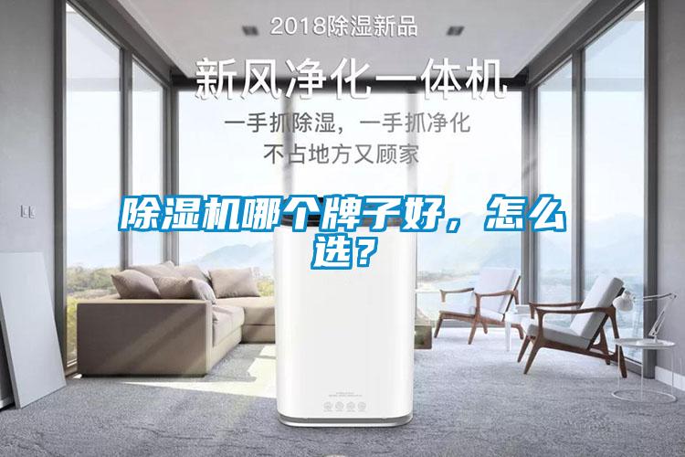 除濕機哪個牌子好，怎么選？