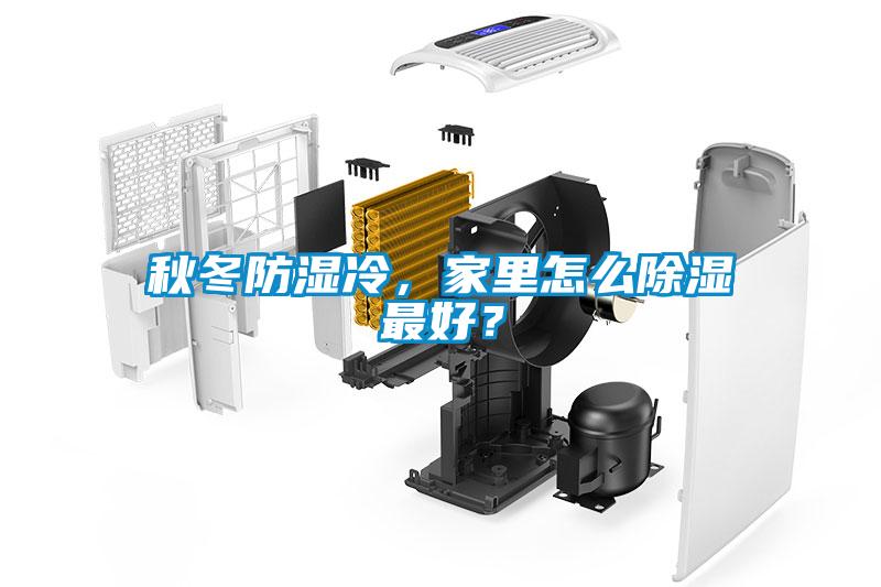 秋冬防濕冷，家里怎么除濕最好？