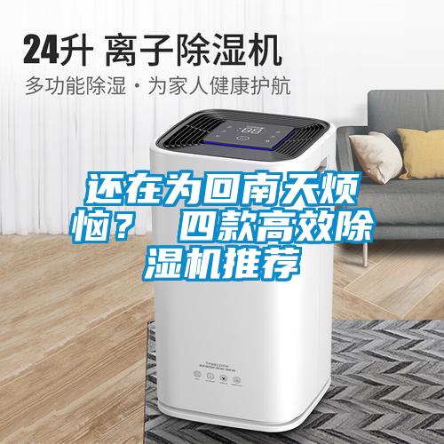 還在為回南天煩惱？ 四款高效除濕機推薦