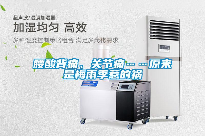 腰酸背痛、關節痛……原來是梅雨季惹的禍
