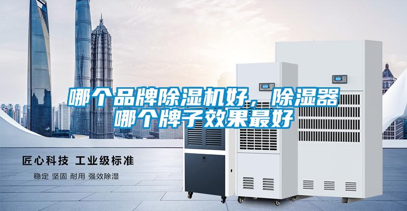 哪個品牌除濕機好，除濕器哪個牌子效果最好