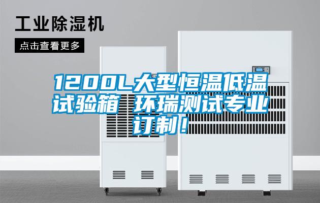 1200L大型恒溫低溫試驗箱 環瑞測試專業訂制！