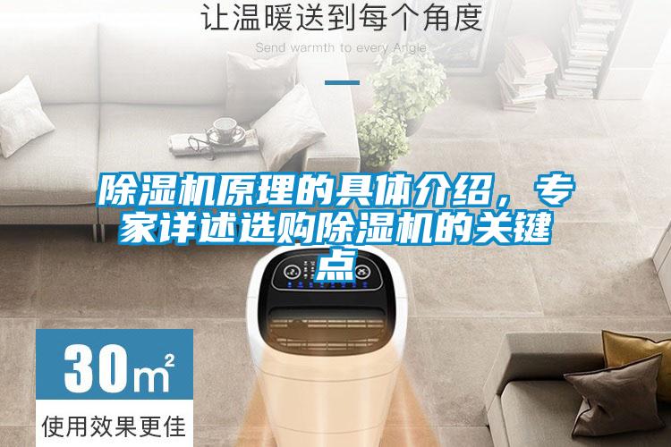 除濕機原理的具體介紹，專家詳述選購除濕機的關鍵點