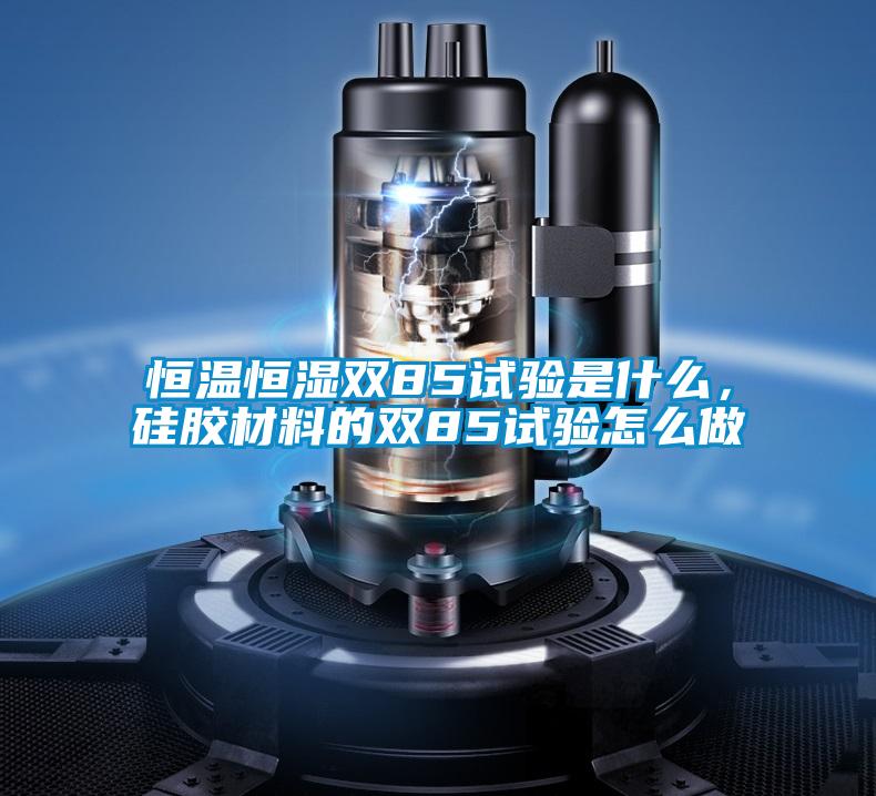恒溫恒濕雙85試驗是什么，硅膠材料的雙85試驗怎么做