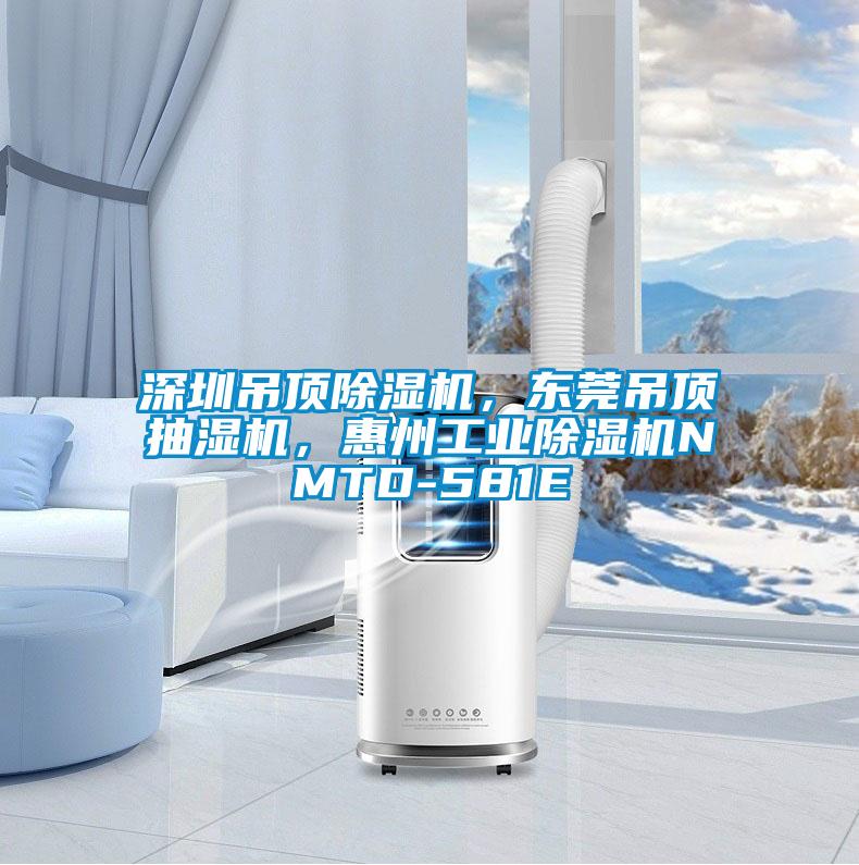 深圳吊頂除濕機，東莞吊頂抽濕機，惠州工業除濕機NMTD-581E