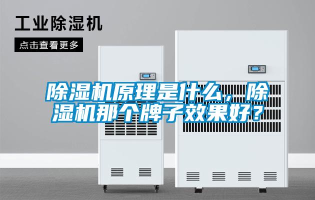 除濕機原理是什么，除濕機那個牌子效果好？