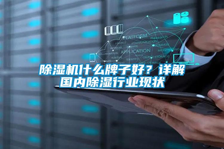 除濕機什么牌子好？詳解國內除濕行業現狀