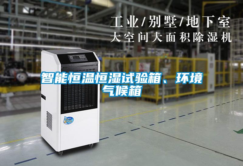 智能恒溫恒濕試驗箱、環境氣候箱