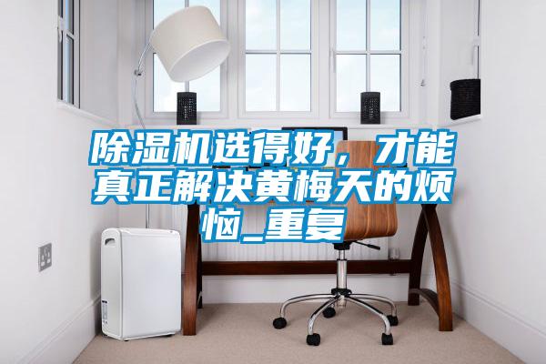 除濕機選得好，才能真正解決黃梅天的煩惱_重復