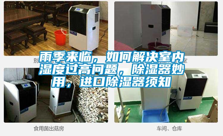 雨季來臨，如何解決室內濕度過高問題，除濕器妙用，進口除濕器須知