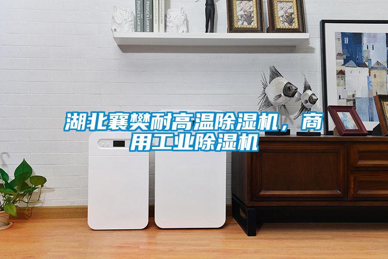 湖北襄樊耐高溫除濕機，商用工業除濕機