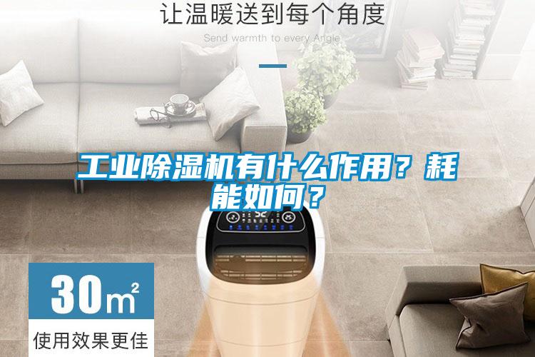工業除濕機有什么作用？耗能如何？