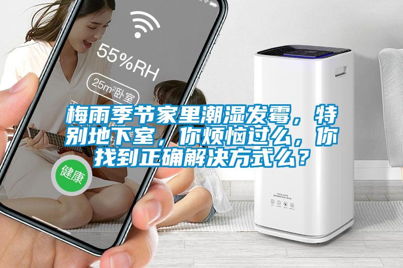 梅雨季節家里潮濕發霉，特別地下室，你煩惱過么，你找到正確解決方式么？