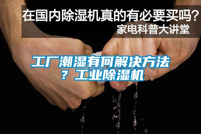工廠潮濕有何解決方法？工業除濕機