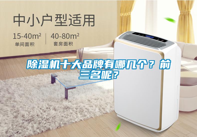 除濕機十大品牌有哪幾個？前三名呢？