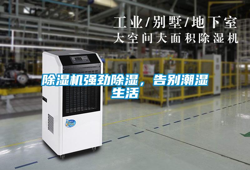 除濕機強勁除濕，告別潮濕生活