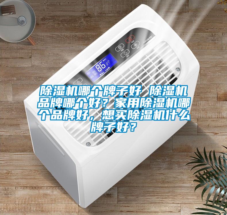 除濕機哪個牌子好 除濕機品牌哪個好？家用除濕機哪個品牌好，想買除濕機什么牌子好？