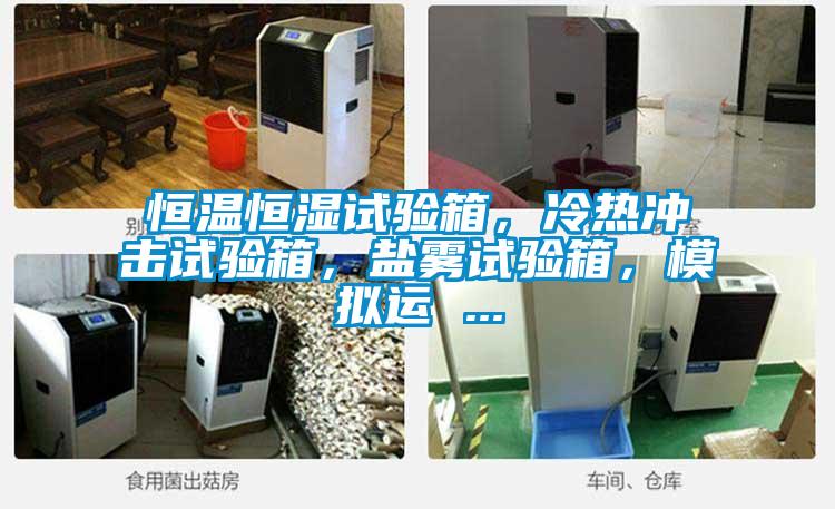 恒溫恒濕試驗箱，冷熱沖擊試驗箱，鹽霧試驗箱，模擬運 ...