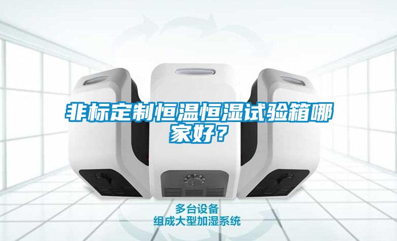 非標定制恒溫恒濕試驗箱哪家好？