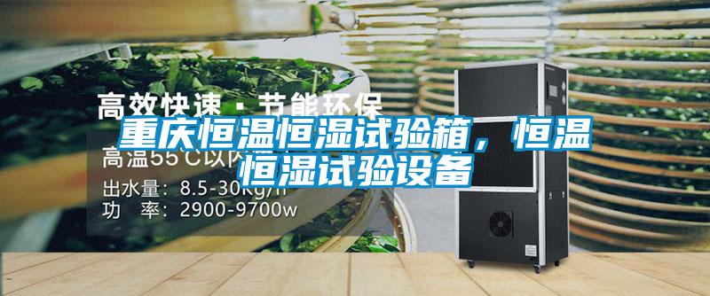 重慶恒溫恒濕試驗箱，恒溫恒濕試驗設備