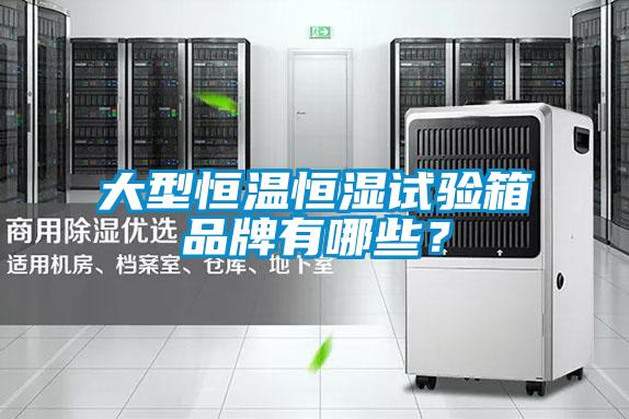 大型恒溫恒濕試驗箱品牌有哪些？