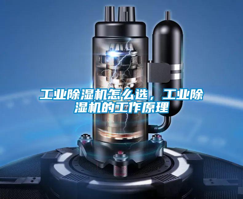 工業除濕機怎么選，工業除濕機的工作原理