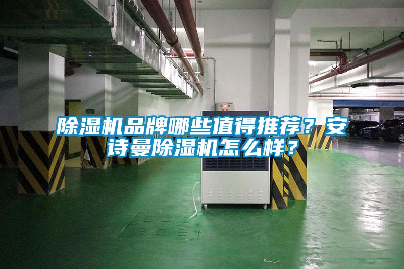 除濕機品牌哪些值得推薦？安詩曼除濕機怎么樣？