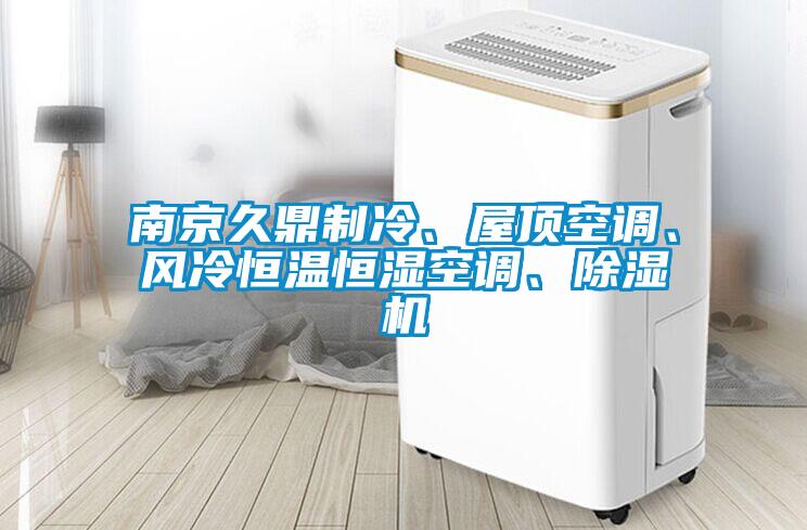 南京久鼎制冷、屋頂空調、風冷恒溫恒濕空調、除濕機