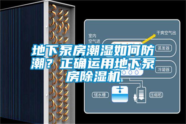 地下泵房潮濕如何防潮？正確運用地下泵房除濕機