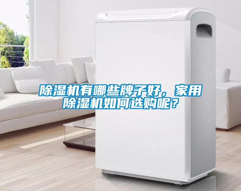 除濕機有哪些牌子好，家用除濕機如何選購呢？