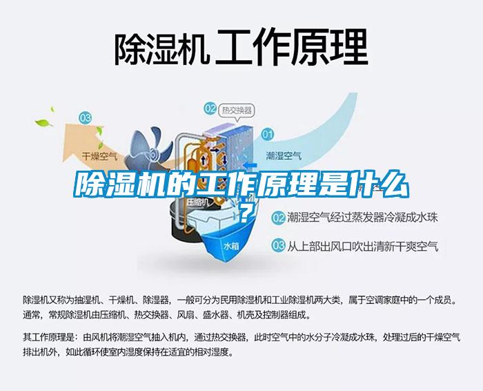 除濕機的工作原理是什么？
