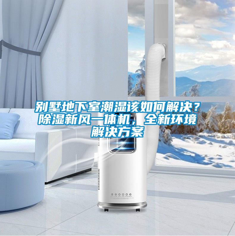 別墅地下室潮濕該如何解決？除濕新風一體機，全新環境解決方案