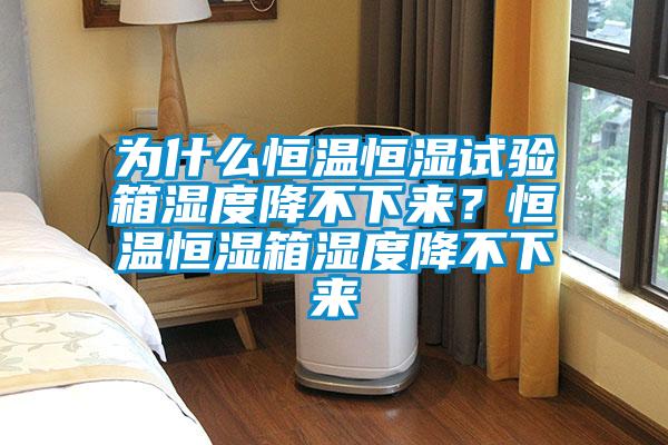 為什么恒溫恒濕試驗箱濕度降不下來？恒溫恒濕箱濕度降不下來