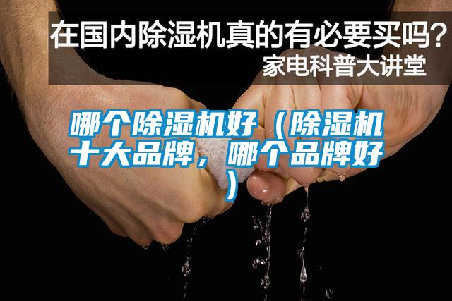 哪個除濕機好（除濕機十大品牌，哪個品牌好）