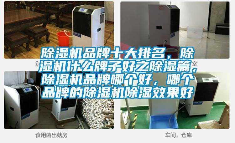除濕機品牌十大排名，除濕機什么牌子好之除濕篇，除濕機品牌哪個好，哪個品牌的除濕機除濕效果好