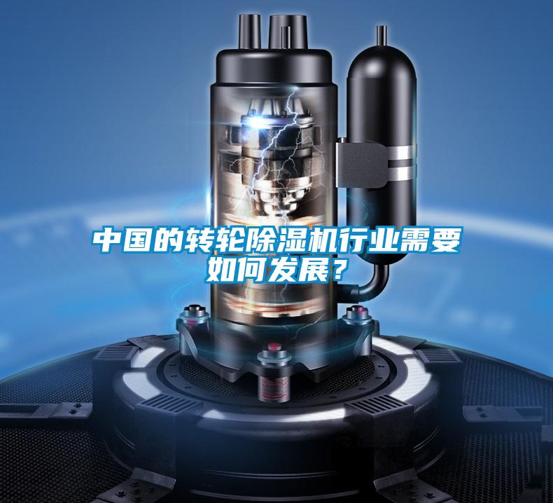 中國的轉輪除濕機行業需要如何發展？