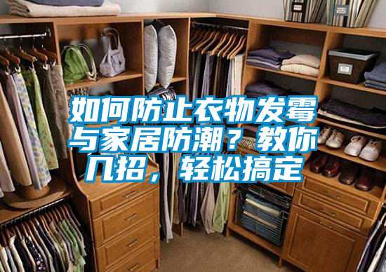 如何防止衣物發霉與家居防潮？教你幾招，輕松搞定