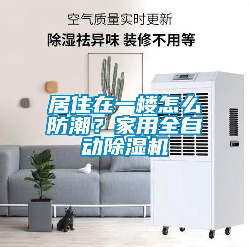 居住在一樓怎么防潮？家用全自動除濕機