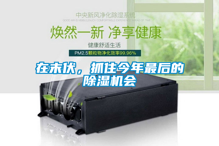 在末伏，抓住今年最后的除濕機會