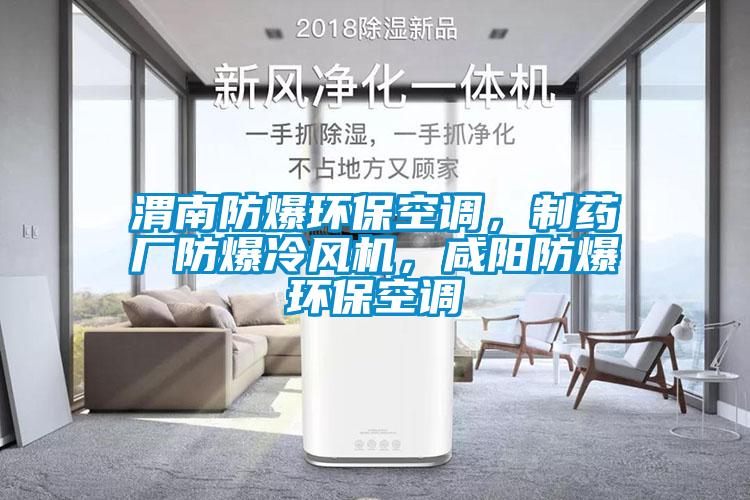 渭南防爆環?？照{，制藥廠防爆冷風機，咸陽防爆環?？照{