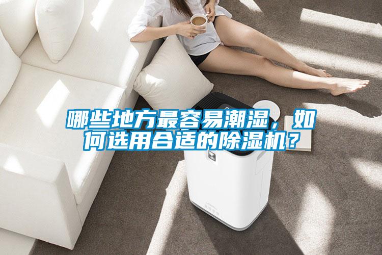 哪些地方最容易潮濕，如何選用合適的除濕機？