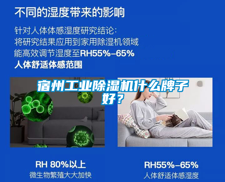 宿州工業除濕機什么牌子好？