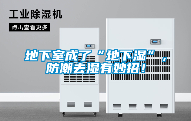 地下室成了“地下濕”，防潮去濕有妙招！
