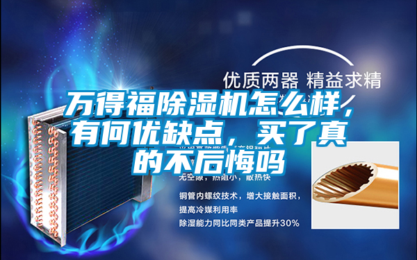 萬得福除濕機怎么樣，有何優缺點，買了真的不后悔嗎
