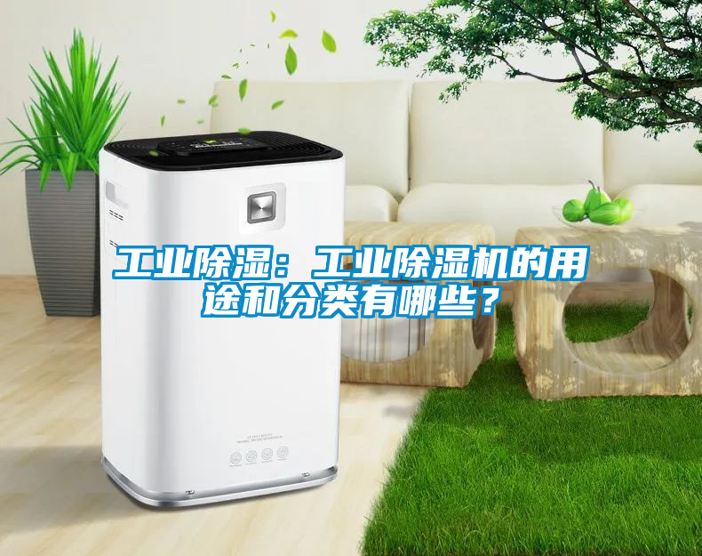 工業除濕：工業除濕機的用途和分類有哪些？