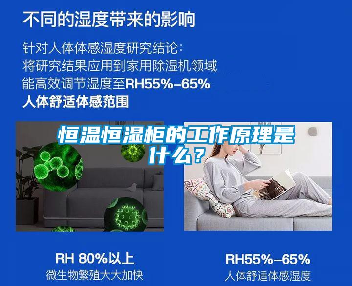 恒溫恒濕柜的工作原理是什么？