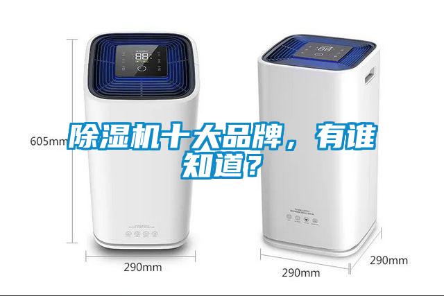 除濕機十大品牌，有誰知道？