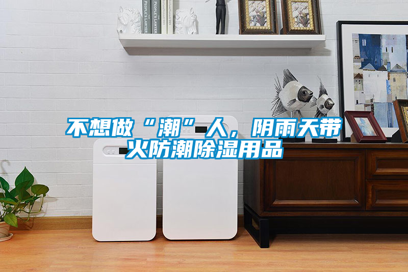 不想做“潮”人，陰雨天帶火防潮除濕用品