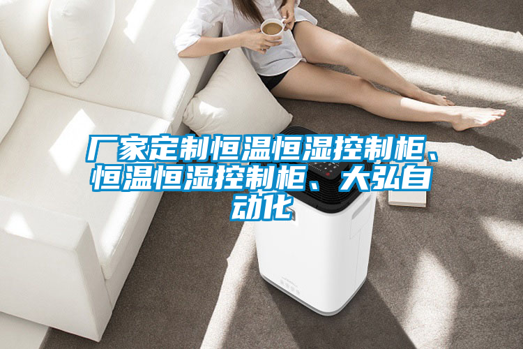 廠家定制恒溫恒濕控制柜、恒溫恒濕控制柜、大弘自動化