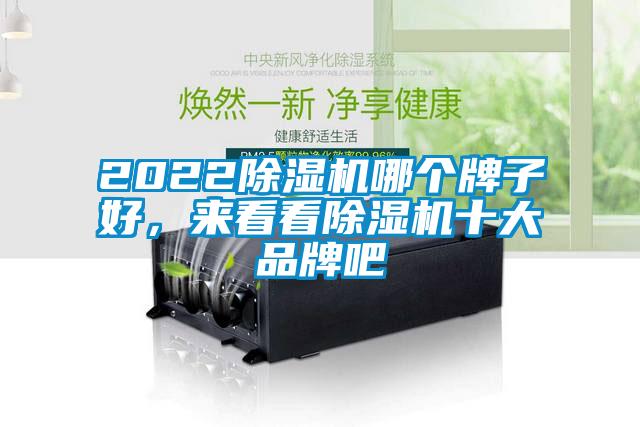 2022除濕機哪個牌子好，來看看除濕機十大品牌吧
